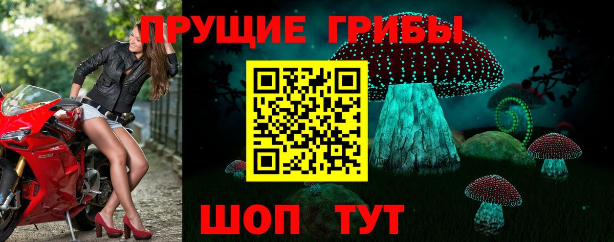 Псилоцибиновые грибы мицелий Сорочинск