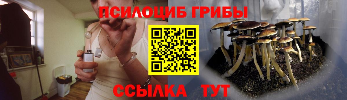Псилоцибиновые грибы Magic Shrooms  Вход с VPN  Сорочинск 